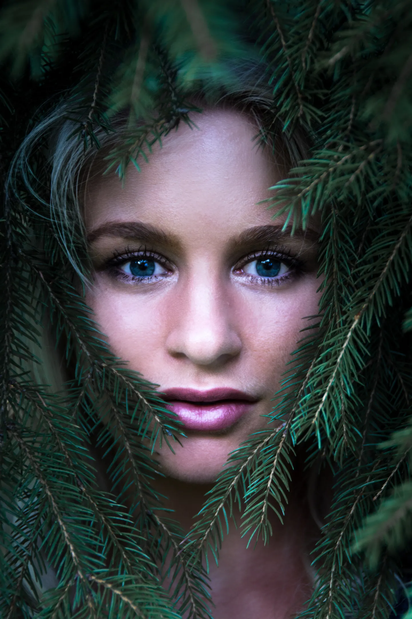 Ruth peering through spruce branches, ethereal forest close-up